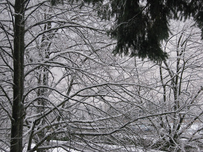 Nanaimo's First Snow of 2010