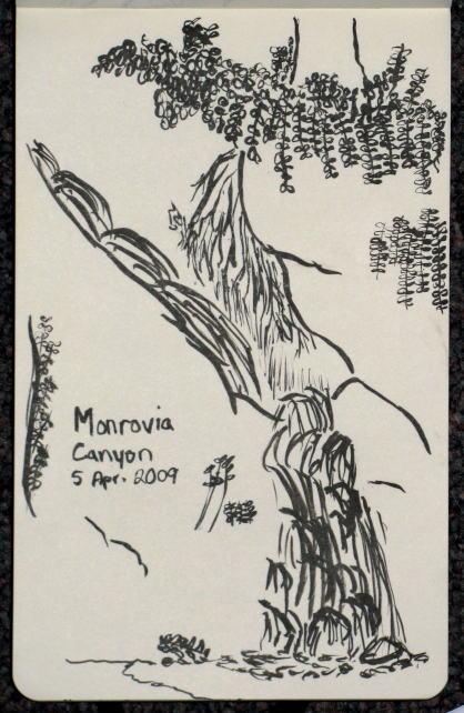 The sketch I did at the falls in Monrovia.