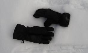 arrangement in gloves