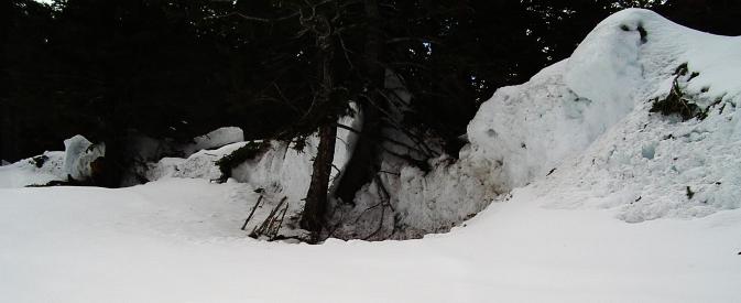 avalanche cut