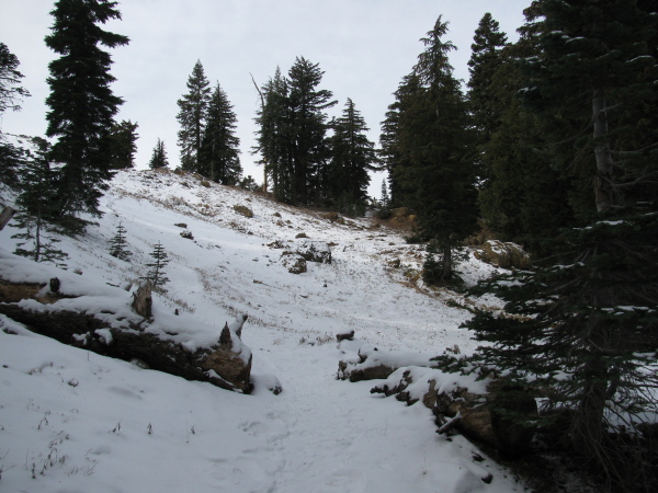 Snowy trail just before the crest and the lake.