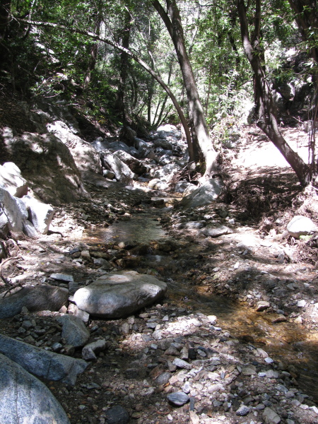 the little stream