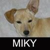 MIKY