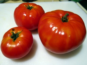 Big Beef Tomatoes