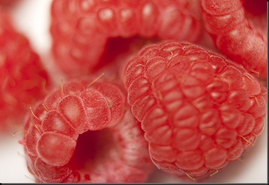 Raspberries 20 Weeks 010sharp