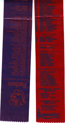 [1973 homecoming ribbons[4].jpg]