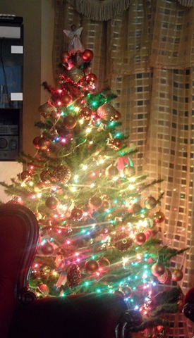 [Christmas Tree 5.jpg]
