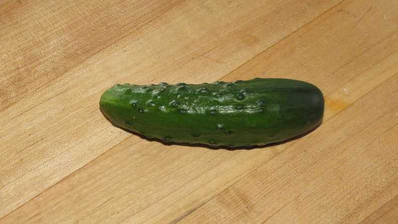 [Cucumber[2].jpg]