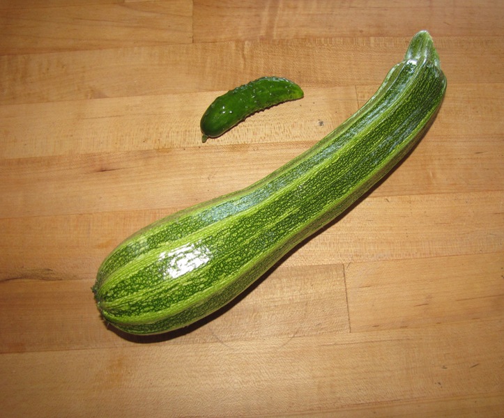 [Squash[2].jpg]