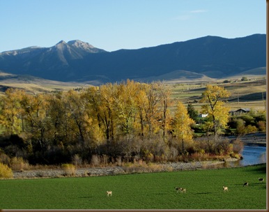 East Boulder Valley in Oct