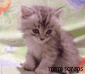 q2.gif