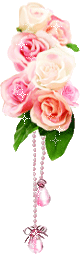 dns2.gif