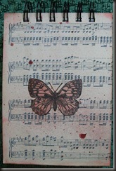 back of lynnes book