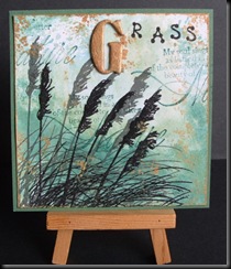 G for Grasses 4x4