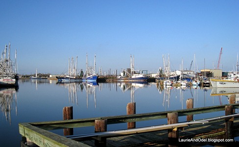 Shrimp boats at rest in the basin.