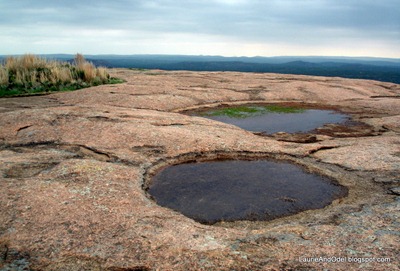 Pools on top of Enchanted Rock in 2008 in the Texas Hill Country.