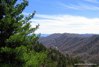 Looking back towards the Newfound Gap Road in the Great Smoky Mountains