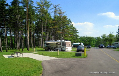 Back-in sites and campground road.