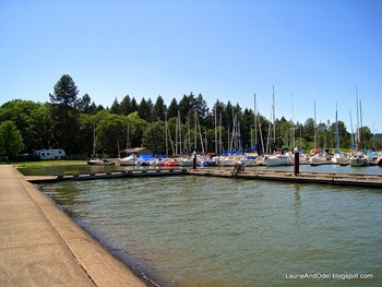 Marina on Fern Ridge Lake at Richardson Park