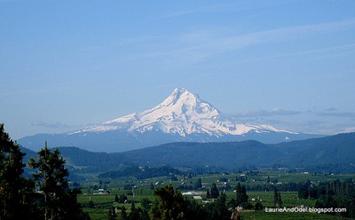 Mt Hood from Panorama Point