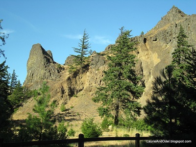 Trailside view of the basalt cliffs.