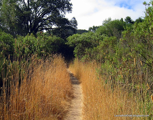 [Trail to Sugerloaf Mountain in Napa[9].jpg]