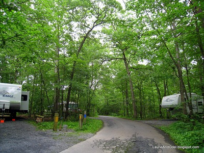 The road through the RV loop