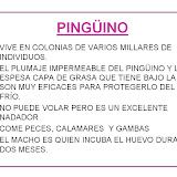Diapositiva23-1.JPG