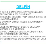 Diapositiva51-1.JPG