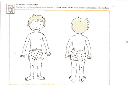 Imagenes De Las Partes Del Cuerpo Para Niños De Preescolar