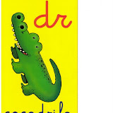 Cocodrilo.JPG