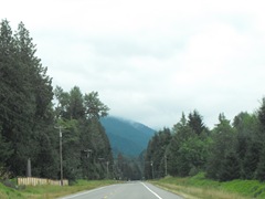 [Mt. Rainier National Park 115[2].jpg]
