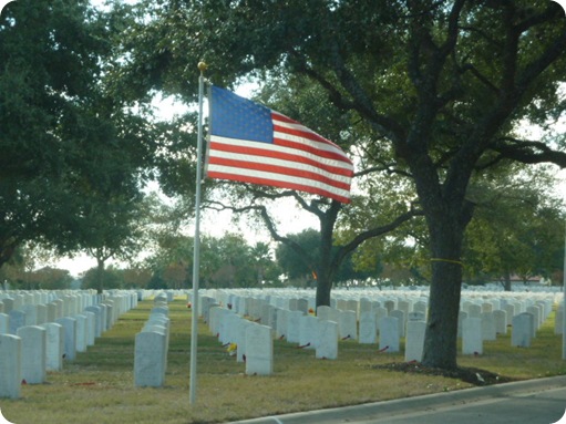 Veteran's Day 2010 038
