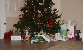 presents under the tree (1 of 1)