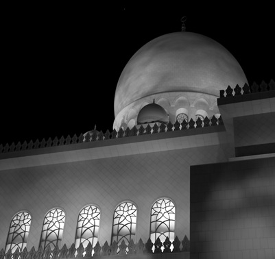 Grand Mosque at Night  (12 of 22)