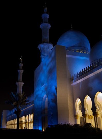 Grand Mosque at Night  (21 of 22)