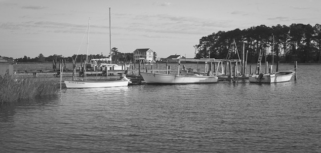 Saint George's Island Crab Boats-2