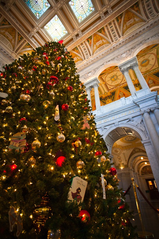 [Library of Congress Christmas Tree-2[4].jpg]