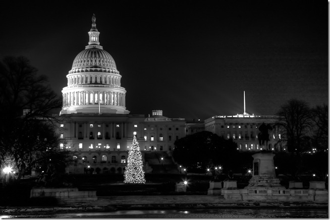 Capitol Christmas Tree at Night BW