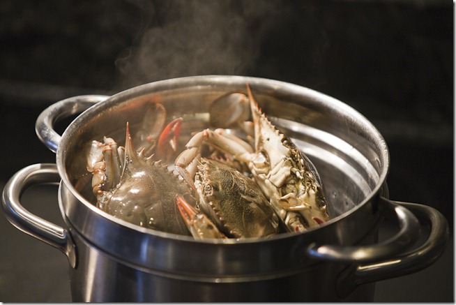 Crabs in the Pot