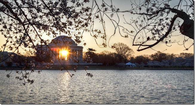 Cherry Blossoms with Sunrise through the Jefferson Memorial-2