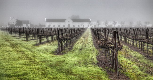 [Winery in the Fog[4].jpg]