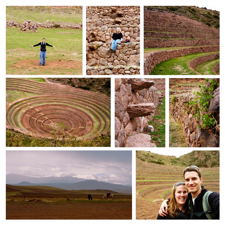 Moray Collage