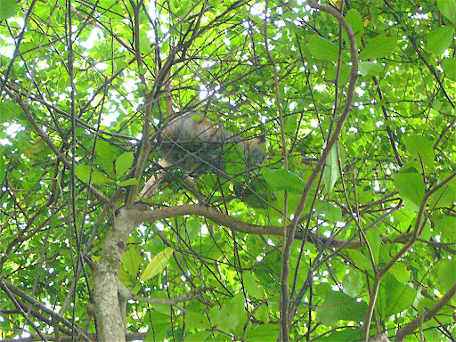 barbie girl song. I%5C%27m-a-Barbie-Girl-Music-