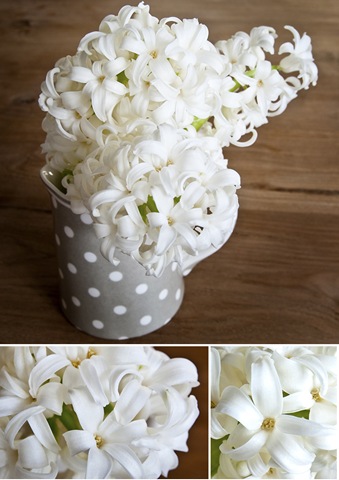 [LesTisusColbert01[6].jpg]