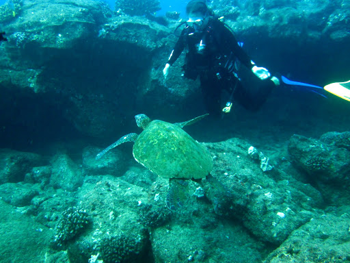 Оказывается!! В 
<div style='clear: both;'></div>
</div>
<div class='post-footer'>
<div class='post-footer-line post-footer-line-1'>
<span class='post-author vcard'>
Автор:
<span class='fn' itemprop='author' itemscope='itemscope' itemtype='http://schema.org/Person'>
<span itemprop='name'>Alenka</span>
</span>
</span>
<span class='post-timestamp'>
на
<meta content='http://kto-esli-ne-my.blogspot.com/2010/08/blog-post.html' itemprop='url'/>
<a class='timestamp-link' href='https://kto-esli-ne-my.blogspot.com/2010/08/blog-post.html' rel='bookmark' title='permanent link'><abbr class='published' itemprop='datePublished' title='2010-08-06T04:49:00-07:00'>04:49</abbr></a>
</span>
<span class='post-comment-link'>
<a class='comment-link' href='https://kto-esli-ne-my.blogspot.com/2010/08/blog-post.html#comment-form' onclick=''>
Комментариев нет:
  </a>
</span>
<span class='post-icons'>
<span class='item-control blog-admin pid-1838353540'>
<a href='https://www.blogger.com/post-edit.g?blogID=1113761951536397787&postID=6245579753672378071&from=pencil' title='Изменить сообщение'>
<img alt='' class='icon-action' height='18' src='https://resources.blogblog.com/img/icon18_edit_allbkg.gif' width='18'/>
</a>
</span>
</span>
<div class='post-share-buttons goog-inline-block'>
<a class='goog-inline-block share-button sb-email' href='https://www.blogger.com/share-post.g?blogID=1113761951536397787&postID=6245579753672378071&target=email' target='_blank' title='Отправить по электронной почте'><span class='share-button-link-text'>Отправить по электронной почте</span></a><a class='goog-inline-block share-button sb-blog' href='https://www.blogger.com/share-post.g?blogID=1113761951536397787&postID=6245579753672378071&target=blog' onclick='window.open(this.href, 