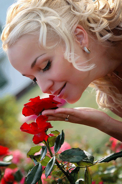 20100725180710530.png