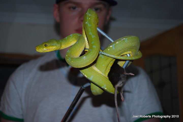 DSC_0061.JPG