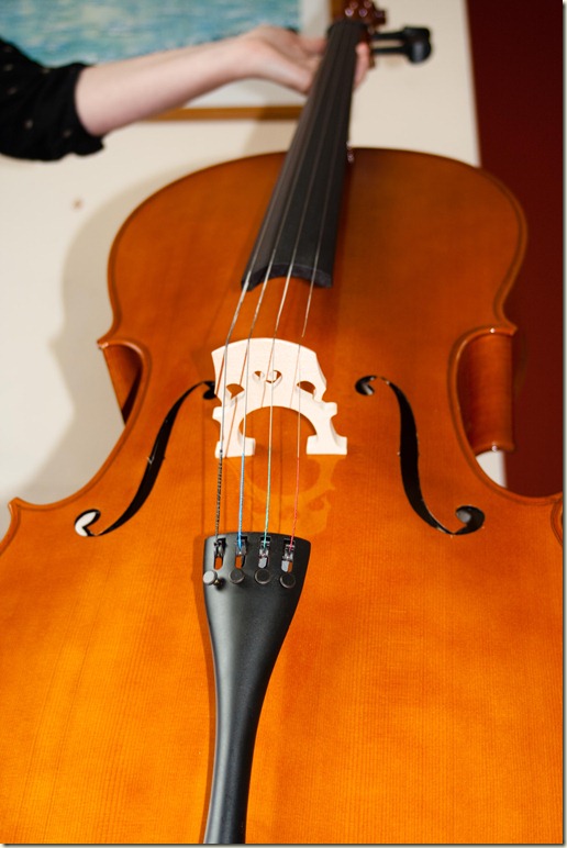 cello small-1-2