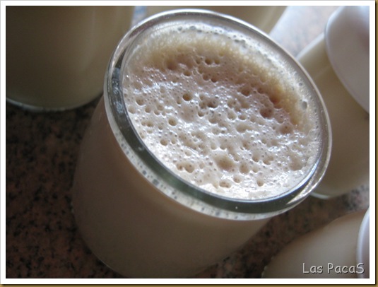 yogur de turrón en yogurtera (1)